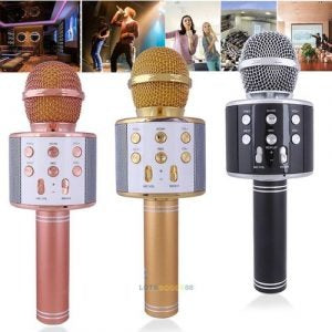 Wireless Microphone Professional Speaker with Bluetooth Microphone