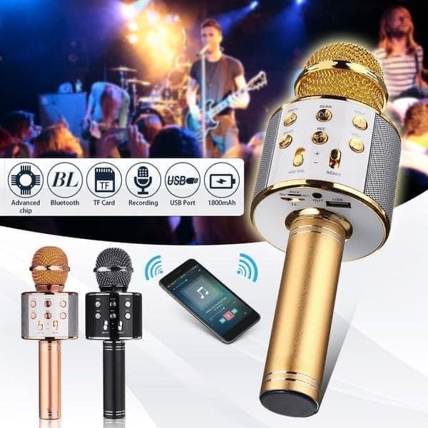 Wireless Microphone Professional Speaker with Bluetooth Microphone