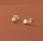 Elegant Leaf Pearl Korean Earrings – Stylish Jewelry